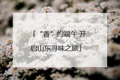“香”约端午 开启山东寻味之旅