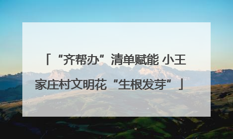 “齐帮办”清单赋能 小王家庄村文明花“生根发芽”