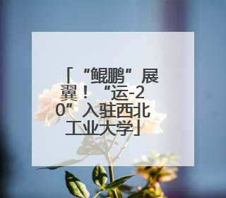 “鲲鹏”展翼！“运-20”入驻西北工业大学