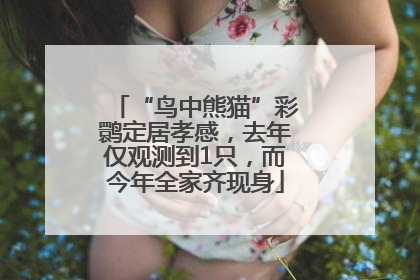 “鸟中熊猫”彩鹮定居孝感，去年仅观测到1只，而今年全家齐现身