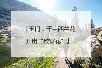 玉门：千亩西兰花开出“致富花”