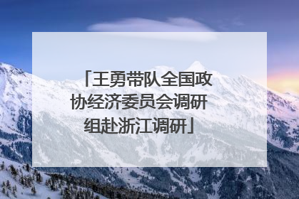王勇带队全国政协经济委员会调研组赴浙江调研