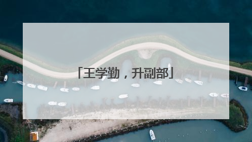 王学勤，升副部