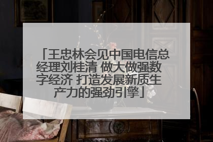 王忠林会见中国电信总经理刘桂清 做大做强数字经济 打造发展新质生产力的强劲引擎