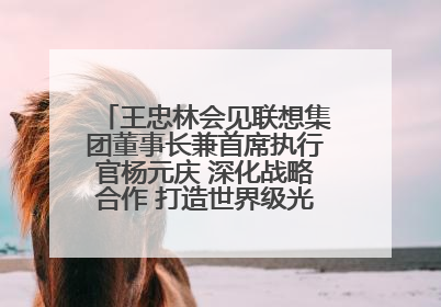 王忠林会见联想集团董事长兼首席执行官杨元庆 深化战略合作 打造世界级光电子信息产业集群
