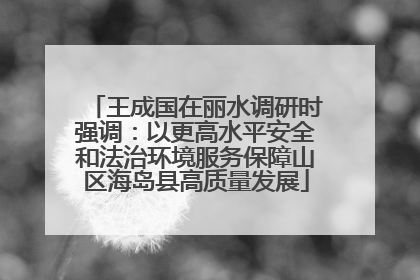 王成国在丽水调研时强调：以更高水平安全和法治环境服务保障山区海岛县高质量发展