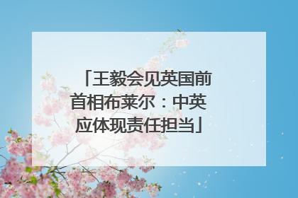 王毅会见英国前首相布莱尔：中英应体现责任担当