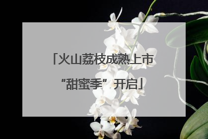 火山荔枝成熟上市 “甜蜜季”开启