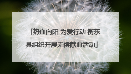 热血向阳 为爱行动 衡东县组织开展无偿献血活动