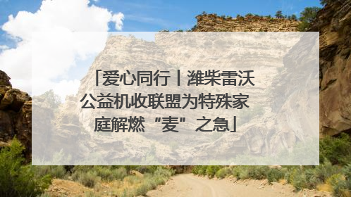 爱心同行丨潍柴雷沃公益机收联盟为特殊家庭解燃“麦”之急