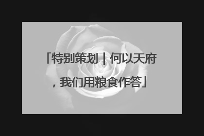 特别策划｜何以天府，我们用粮食作答