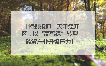 特别报道｜天津经开区：以“高智绿”转型破解产业升级压力