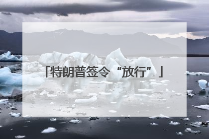 特朗普签令“放行”