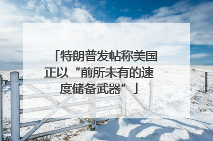 特朗普发帖称美国正以“前所未有的速度储备武器”