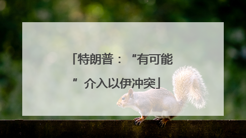 特朗普：“有可能”介入以伊冲突