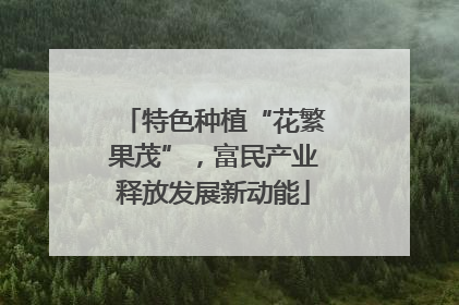 特色种植“花繁果茂”，富民产业释放发展新动能