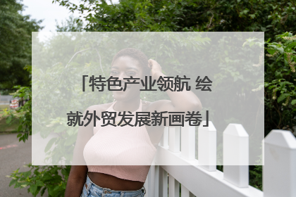 特色产业领航 绘就外贸发展新画卷