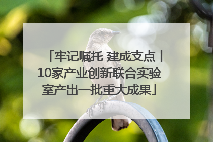 牢记嘱托 建成支点丨10家产业创新联合实验室产出一批重大成果