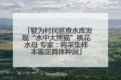 犍为村民巡查水库发现“水中大熊猫”桃花水母 专家：将采集样本鉴定具体种属