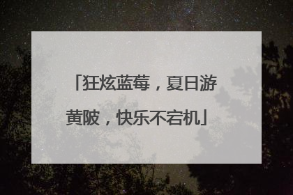 狂炫蓝莓，夏日游黄陂，快乐不宕机
