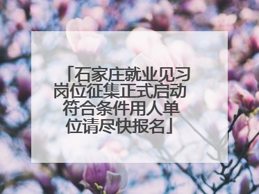 石家庄就业见习岗位征集正式启动 符合条件用人单位请尽快报名