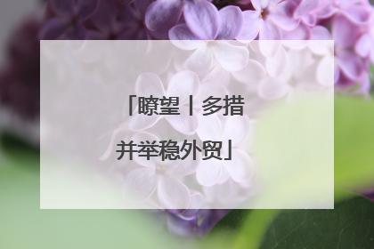 瞭望丨多措并举稳外贸
