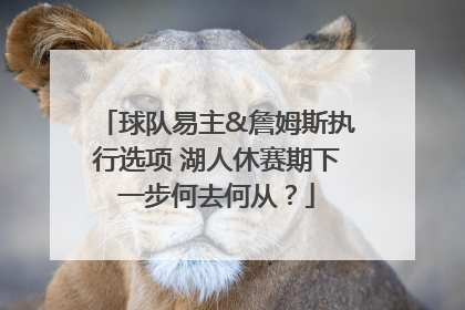 球队易主&詹姆斯执行选项 湖人休赛期下一步何去何从？