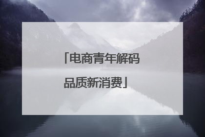 电商青年解码品质新消费