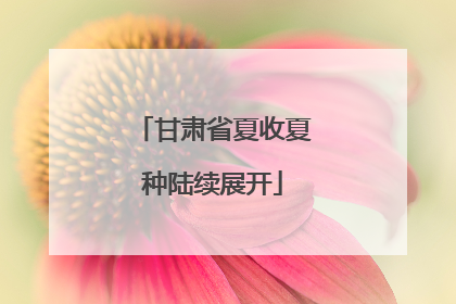 甘肃省夏收夏种陆续展开