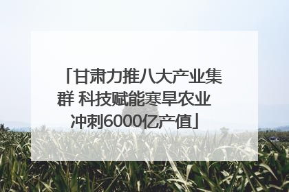 甘肃力推八大产业集群 科技赋能寒旱农业冲刺6000亿产值