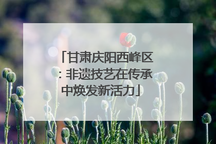甘肃庆阳西峰区：非遗技艺在传承中焕发新活力