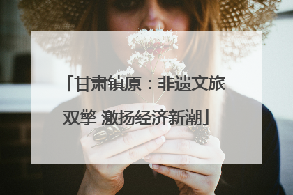 甘肃镇原：非遗文旅双擎 激扬经济新潮