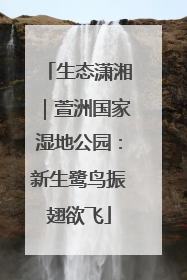 生态潇湘｜萱洲国家湿地公园：新生鹭鸟振翅欲飞