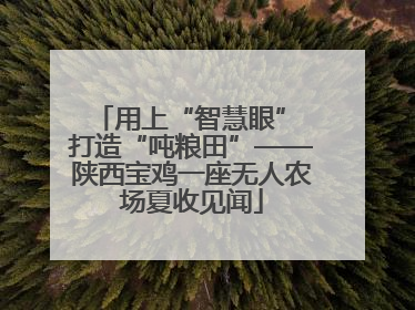 用上“智慧眼” 打造“吨粮田”——陕西宝鸡一座无人农场夏收见闻