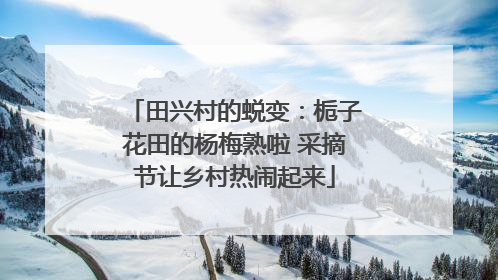 田兴村的蜕变：栀子花田的杨梅熟啦 采摘节让乡村热闹起来