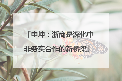 申坤：浙商是深化中非务实合作的新桥梁