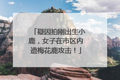 疑因拍刚出生小鹿，女子在市区内遭梅花鹿攻击！