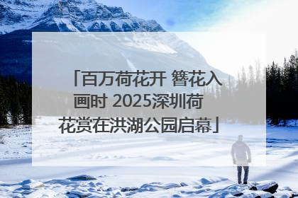 百万荷花开 簪花入画时 2025深圳荷花赏在洪湖公园启幕