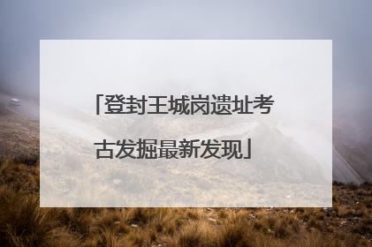 登封王城岗遗址考古发掘最新发现