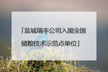 盐城瑞丰公司入围全国储粮技术示范点单位