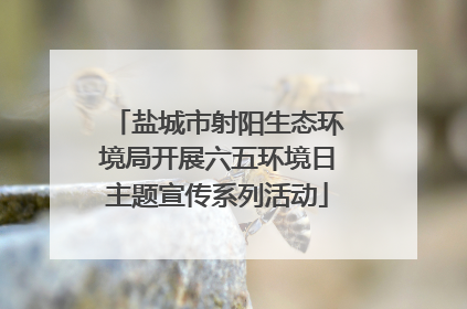 盐城市射阳生态环境局开展六五环境日主题宣传系列活动