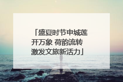 盛夏时节申城莲开万象 荷韵流转激发文旅新活力