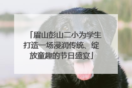 眉山彭山二小为学生打造一场浸润传统、绽放童趣的节日盛宴