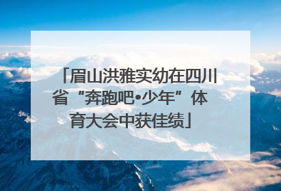 眉山洪雅实幼在四川省“奔跑吧•少年”体育大会中获佳绩