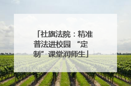 社旗法院：精准普法进校园 “定制”课堂润师生