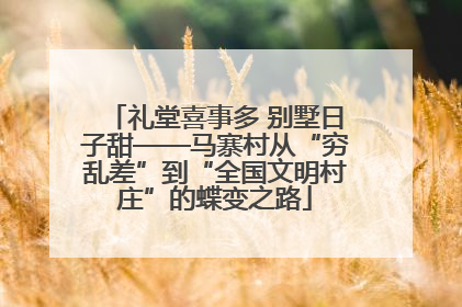 礼堂喜事多 别墅日子甜——马寨村从“穷乱差”到“全国文明村庄”的蝶变之路