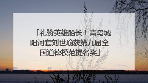 礼赞英雄船长！青岛城阳河套刘世瑜获第九届全国道德模范提名奖