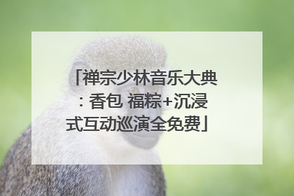 禅宗少林音乐大典：香包 福粽+沉浸式互动巡演全免费