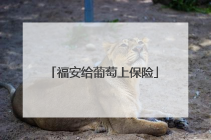 福安给葡萄上保险