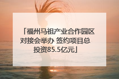 福州马祖产业合作园区对接会举办 签约项目总投资85.5亿元